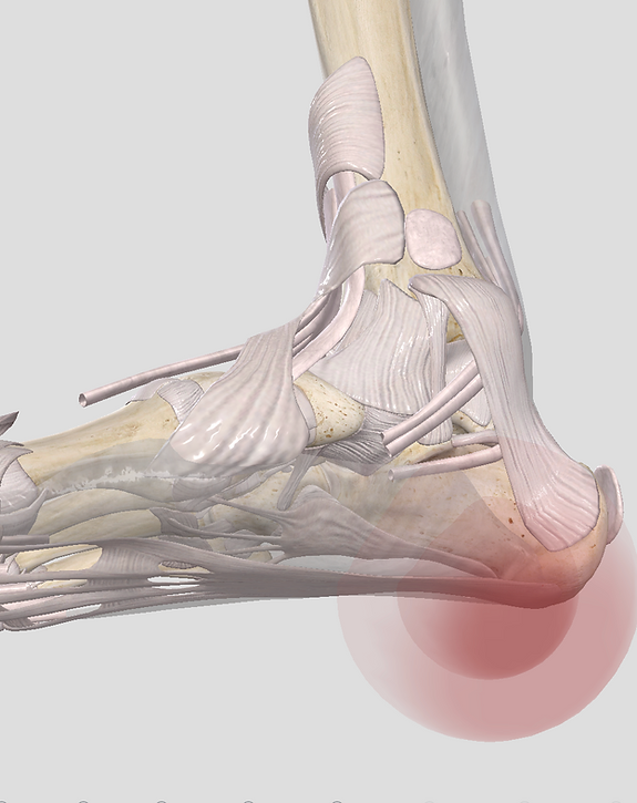 Nos prestations sur le secteur de à Versailles dans les Yvelines