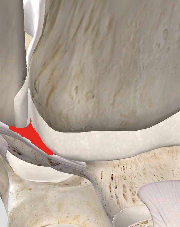 Nos prestations sur le secteur de à Paris 75 en Île-de-France