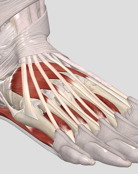 Nos prestations sur le secteur de près de Nanterre dans les Hauts-de-Seine