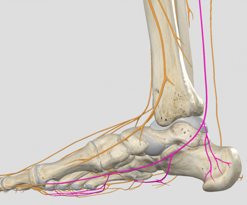 Notre zone d'activité pour ce service Comment prendre un rendez-vous en ligne rapidement avec le Dr Benamran pour un problème de pied via Doctolib à Paris 75 en Île-de-France ?